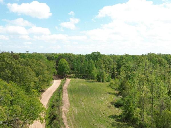 Stevens Rd , Bentonia, MS 39040