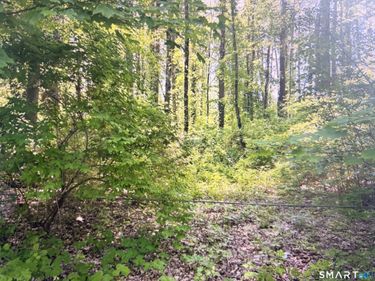 62 Route 126 , Canaan, CT 06031