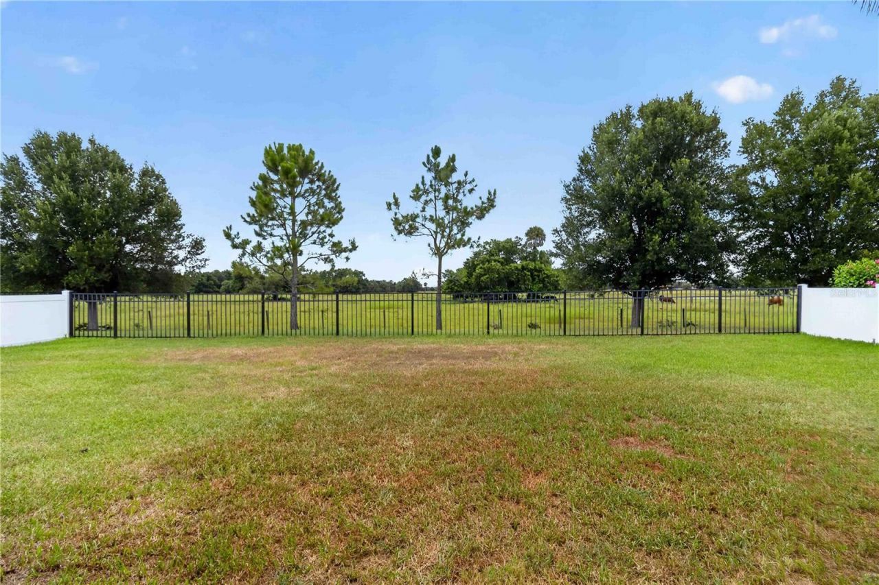 14907 Trinity Fall Way , Bradenton, FL 34212 Photo