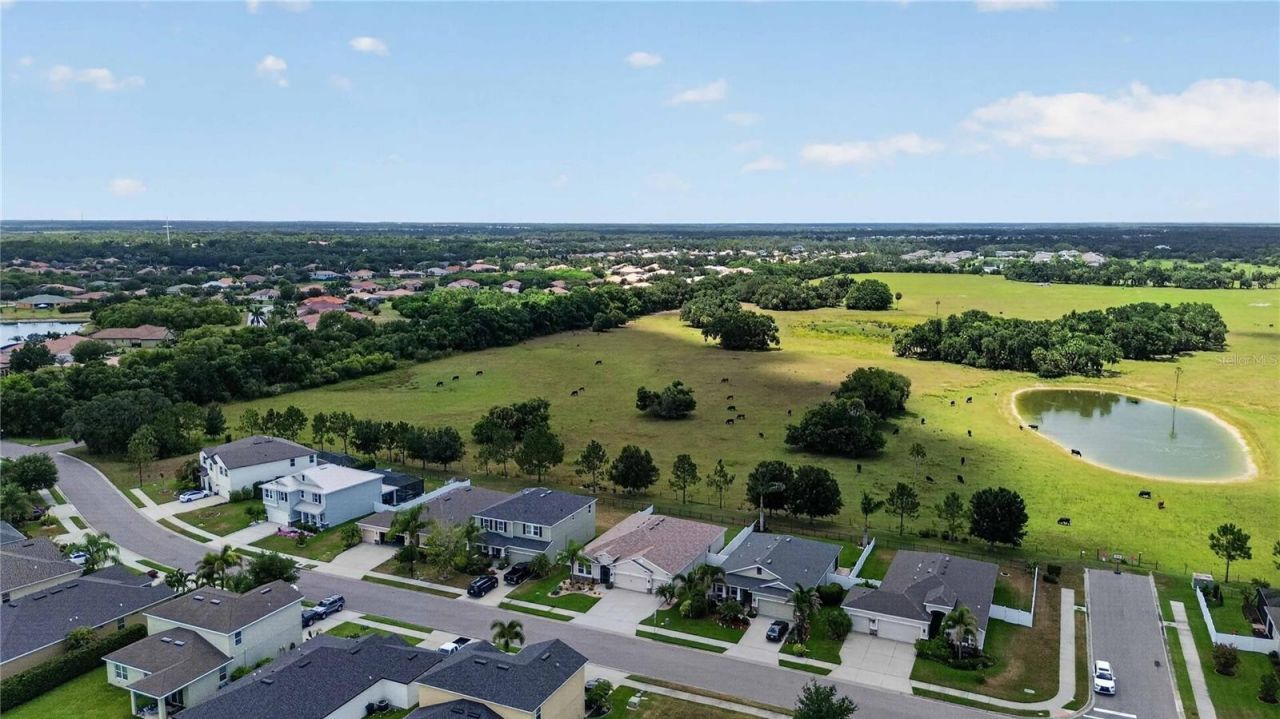 14907 Trinity Fall Way , Bradenton, FL 34212 Photo
