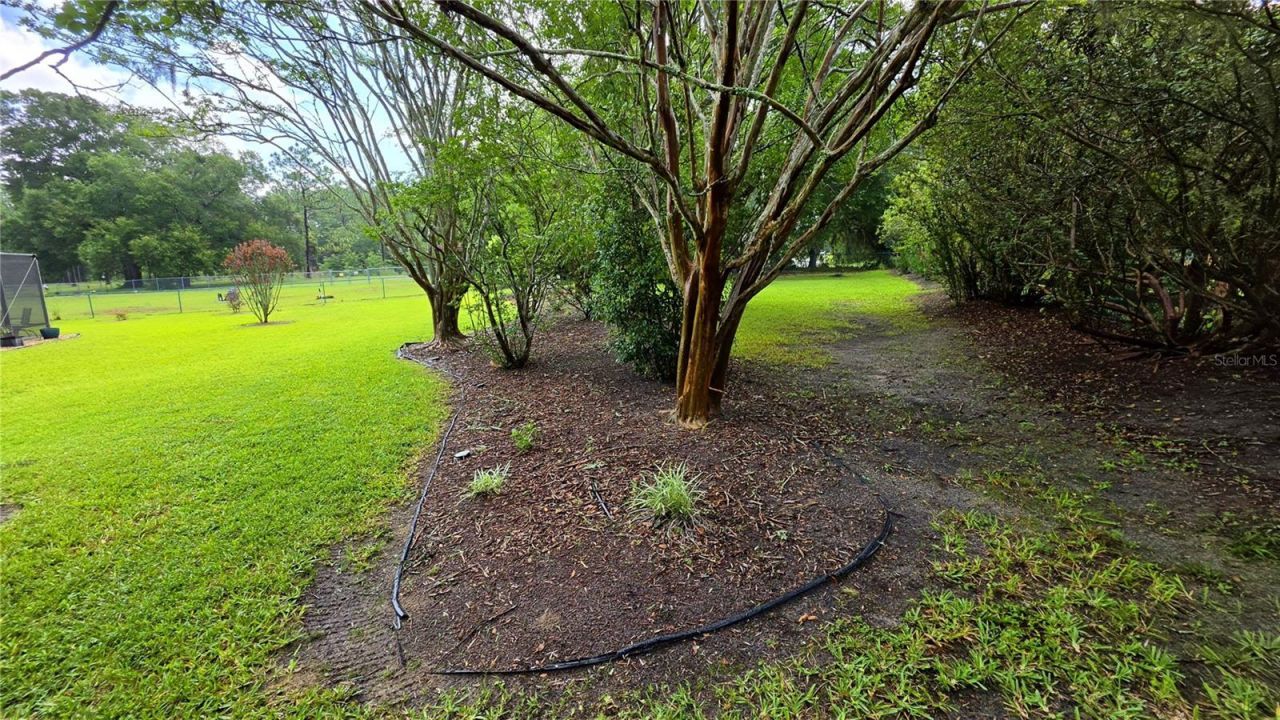6008 SW 103rd Loop, Ocala, FL 34476 Photo