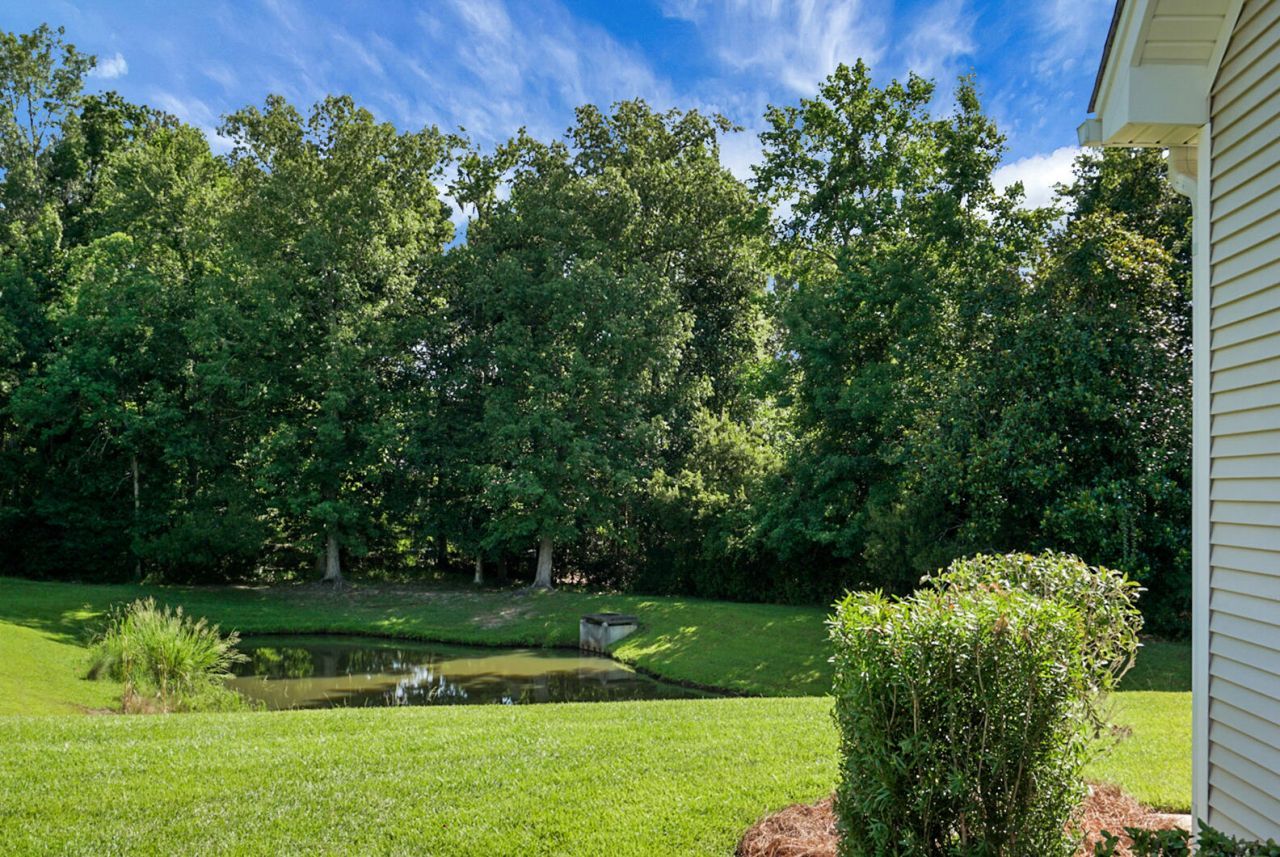 9136 Southern Grove Court Photo 17