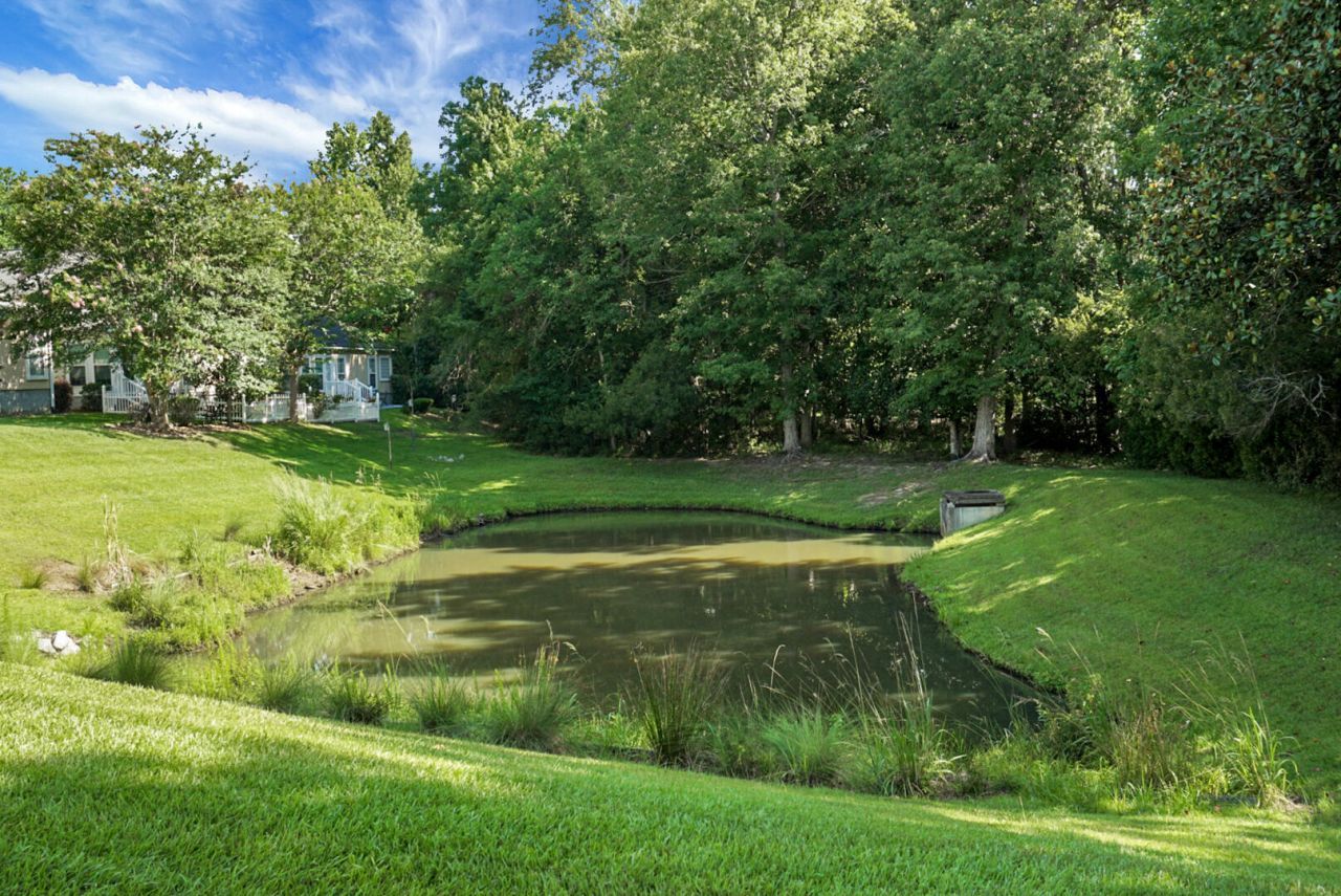 9136 Southern Grove Court Photo 40