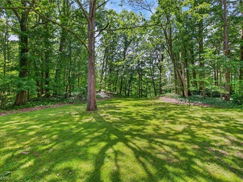 3866 Woodthrush Road, Akron, OH 44333 Photo 41