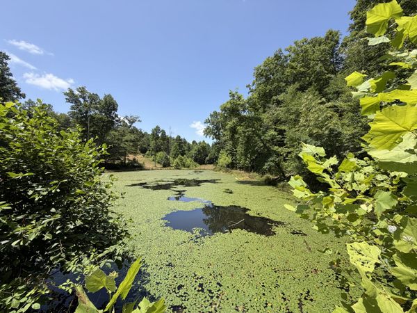 215 Bar Bee Rd , Hohenwald, TN 38462