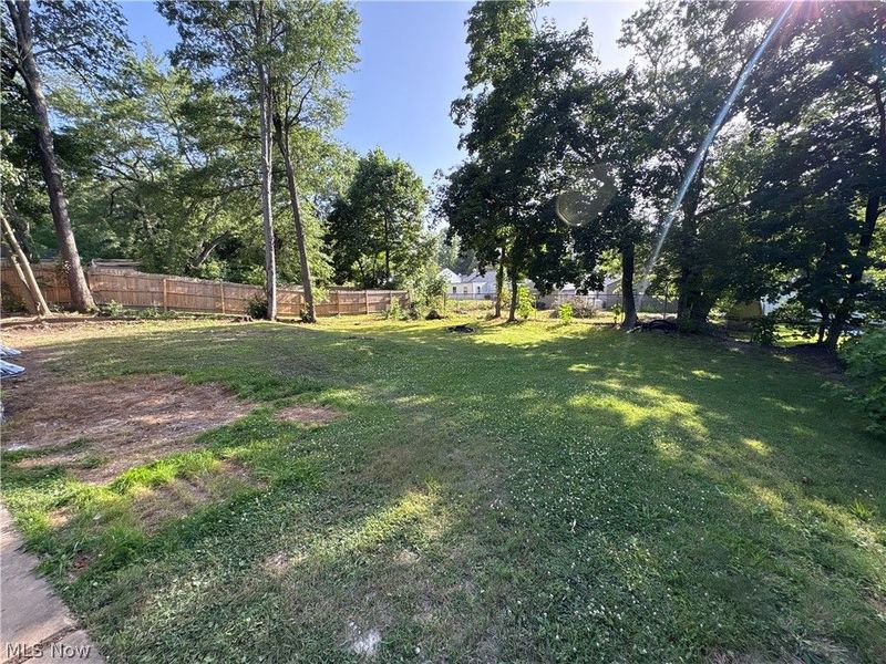 1350 Winton Avenue, Akron, OH 44320 Photo 3
