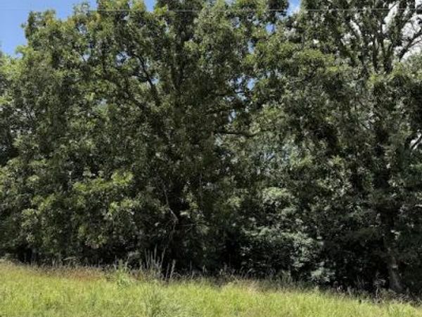 Lot 6 Titleist Lane , Rogers, AR 72756