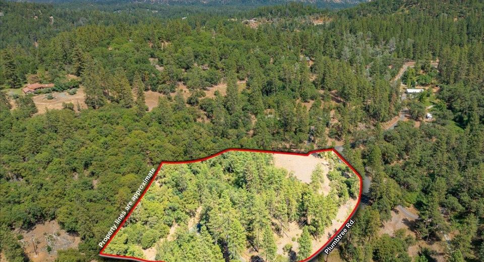 22600 Plumtree Rd, Colfax, CA 95713 Photo