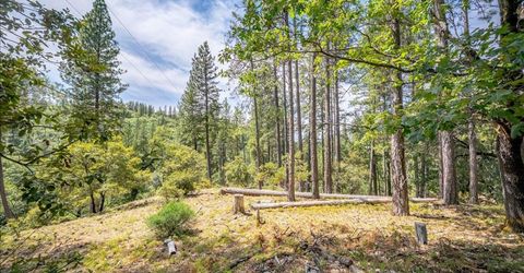 22600 Plumtree Rd, Colfax, CA 95713 Photo