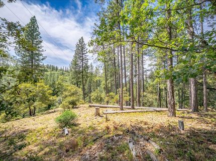 22600 Plumtree Rd, Colfax, CA 95713 Photo