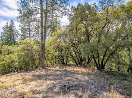 22600 Plumtree Rd, Colfax, CA 95713 Photo
