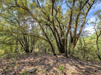 22600 Plumtree Rd, Colfax, CA 95713 Photo