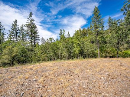 22600 Plumtree Rd, Colfax, CA 95713 Photo