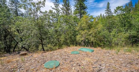 22600 Plumtree Rd, Colfax, CA 95713 Photo