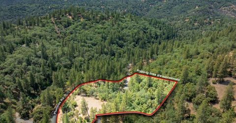 22600 Plumtree Rd, Colfax, CA 95713 Photo