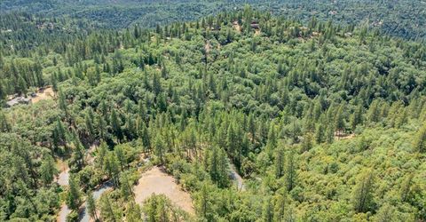 22600 Plumtree Rd, Colfax, CA 95713 Photo