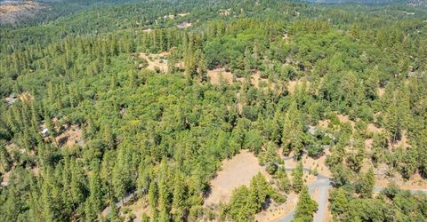 22600 Plumtree Rd, Colfax, CA 95713 Photo