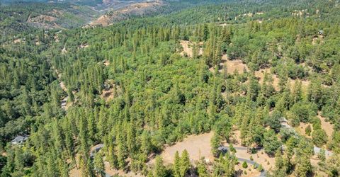 22600 Plumtree Rd, Colfax, CA 95713 Photo