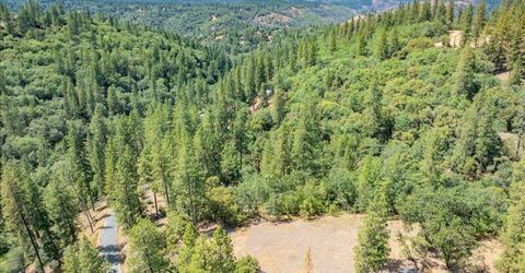 22600 Plumtree Rd, Colfax, CA 95713 Photo