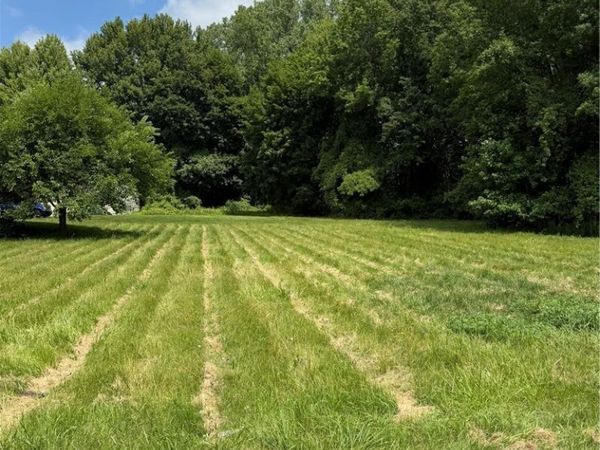 VL Madison Avenue , Painesville Twp, OH 44077