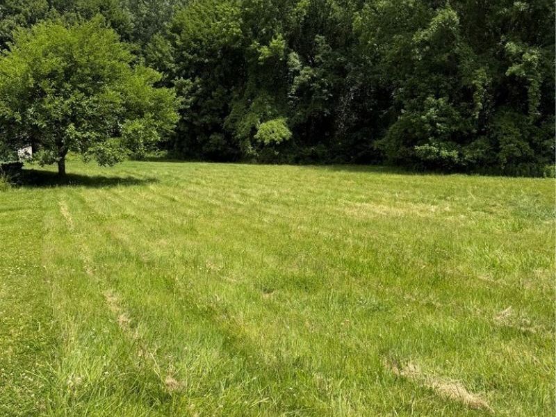 VL Madison Avenue, Painesville Township, OH 44077 Photo 2