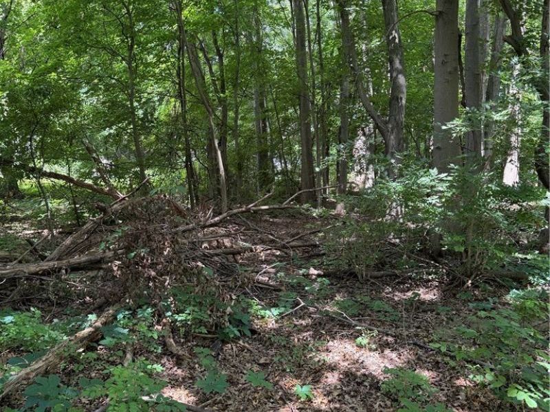 VL Madison Avenue, Painesville Township, OH 44077 Photo 3