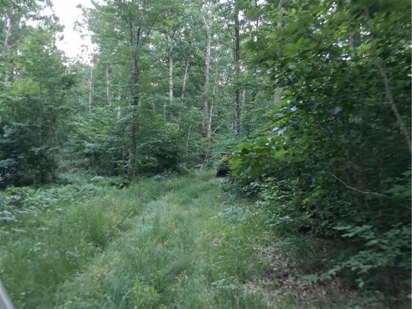 11683 A , Addison, NY 14801