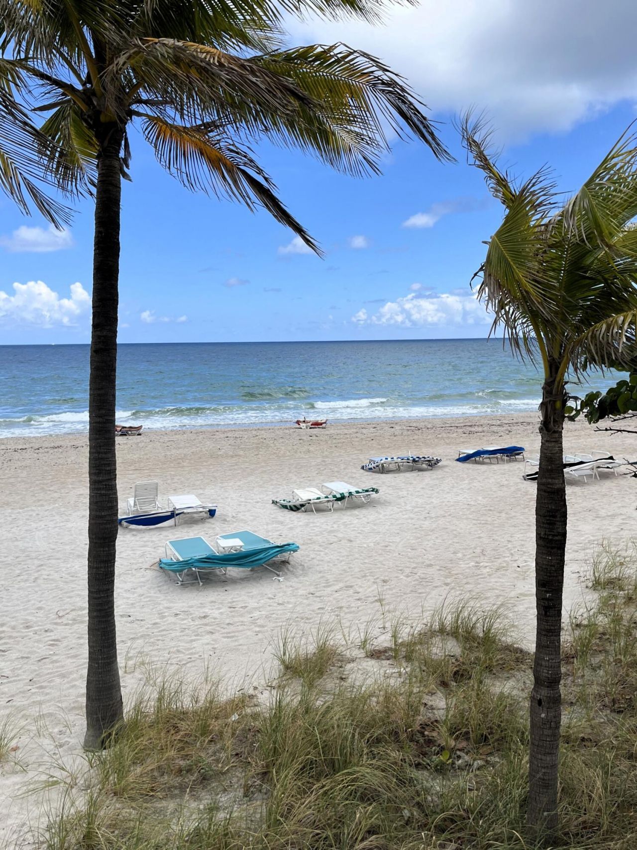 3500 Galt Ocean Drive, Unit 1510, Fort Lauderdale, FL 33308 Photo