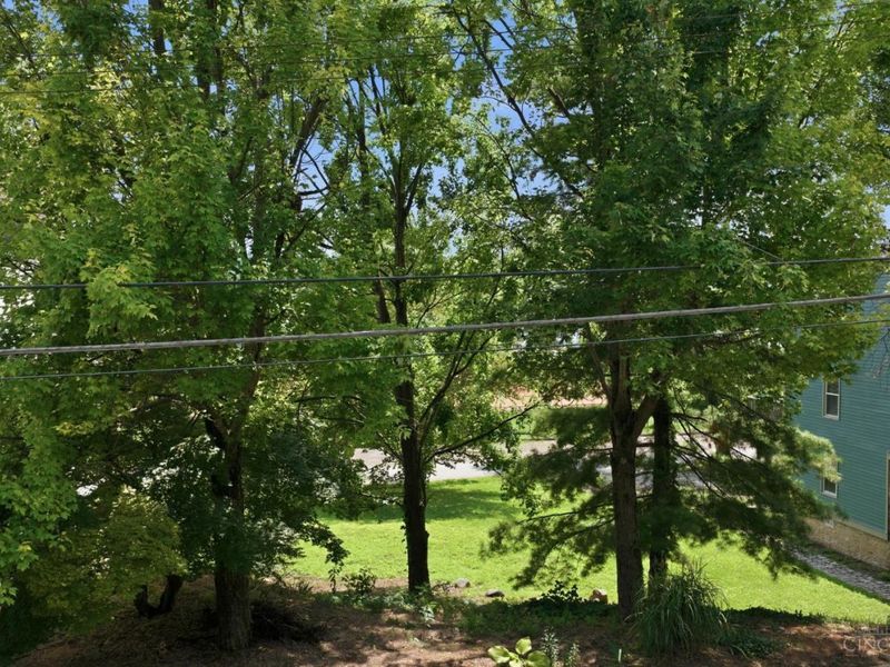 3039 Riverside Drive, Cincinnati, OH 45226 Photo 8