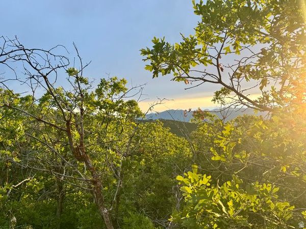1556 S TREE TOP LN , Unit 353, Heber City, UT 84032
