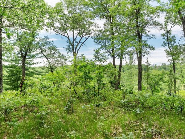 41.13 Acres 9th Court, Grand Marsh, WI 53936