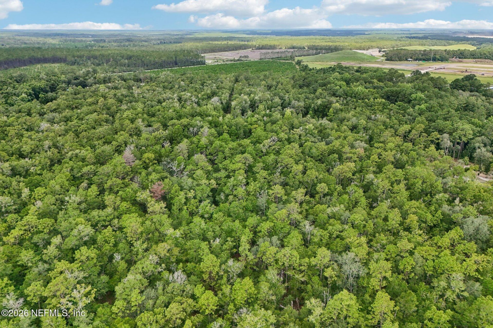 3771 County Road 315, Green Cove Springs, FL 32043 Photo