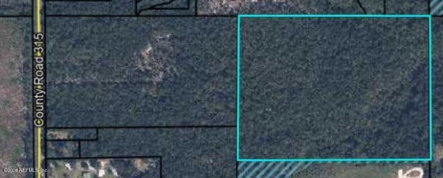 3771 County Road 315, Green Cove Springs, FL 32043 Photo