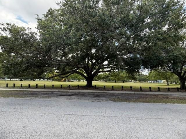 1006 W Adalee Street, Tampa, FL 33603 Photo