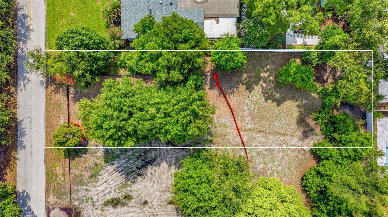 1006 W Adalee Street, Tampa, FL 33603 Photo