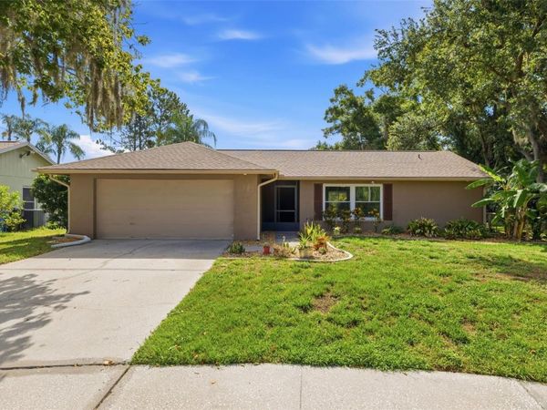 14801 PERRIWINKLE PLACE , TAMPA, FL 33625