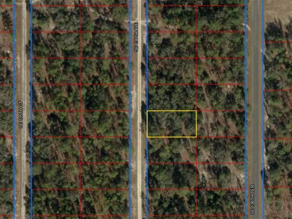 00 SW 136TH AVENUE , DUNNELLON, FL 34431