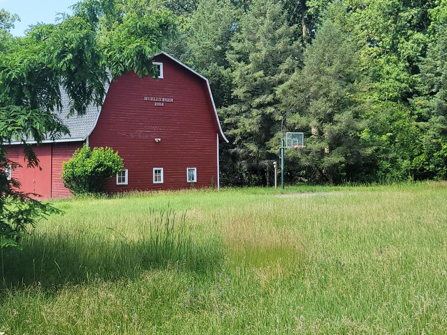 Property Image 11