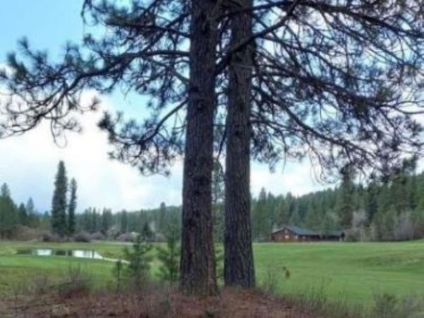 Lt 47 Blk 13 Kimberland Drive, New Meadows, ID 83654