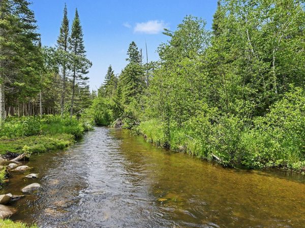 125 Acres Willick Road, Gaylord, MI 49735