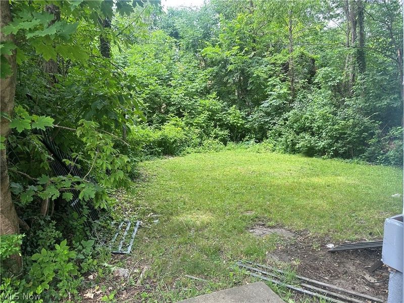 1036 E 149th Street, Cleveland, OH 44110 Photo 14