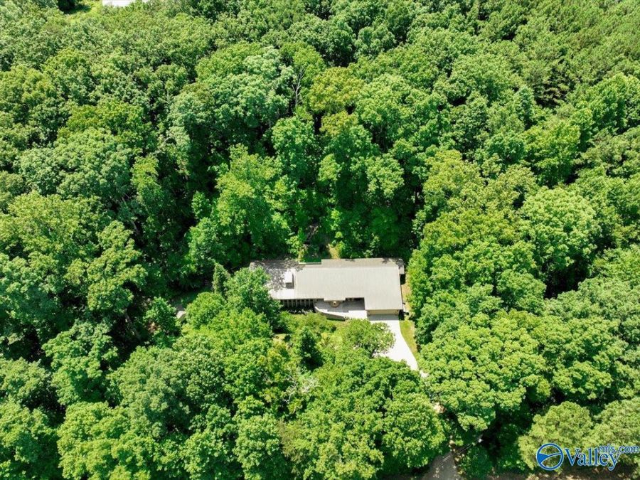 Property Image 47