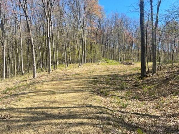 Lot's 4,5 & 6 Anderson Hill Lane , Boyceville, WI 54725