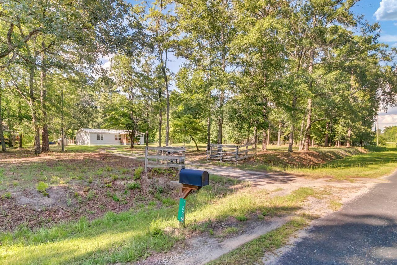 1236 Spring Hill Church Road Photo 29