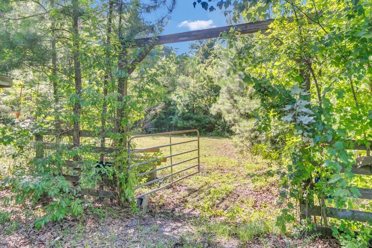 1236 Spring Hill Church Road Photo 32