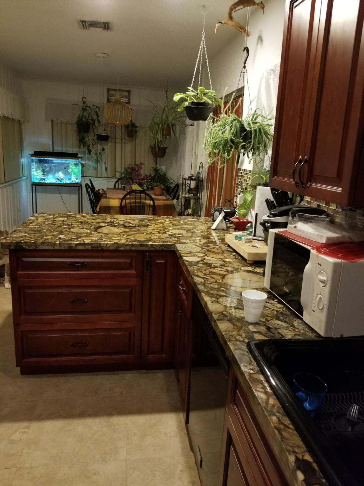 1650 NW 1st Way, Pompano Beach, FL 33060 Photo