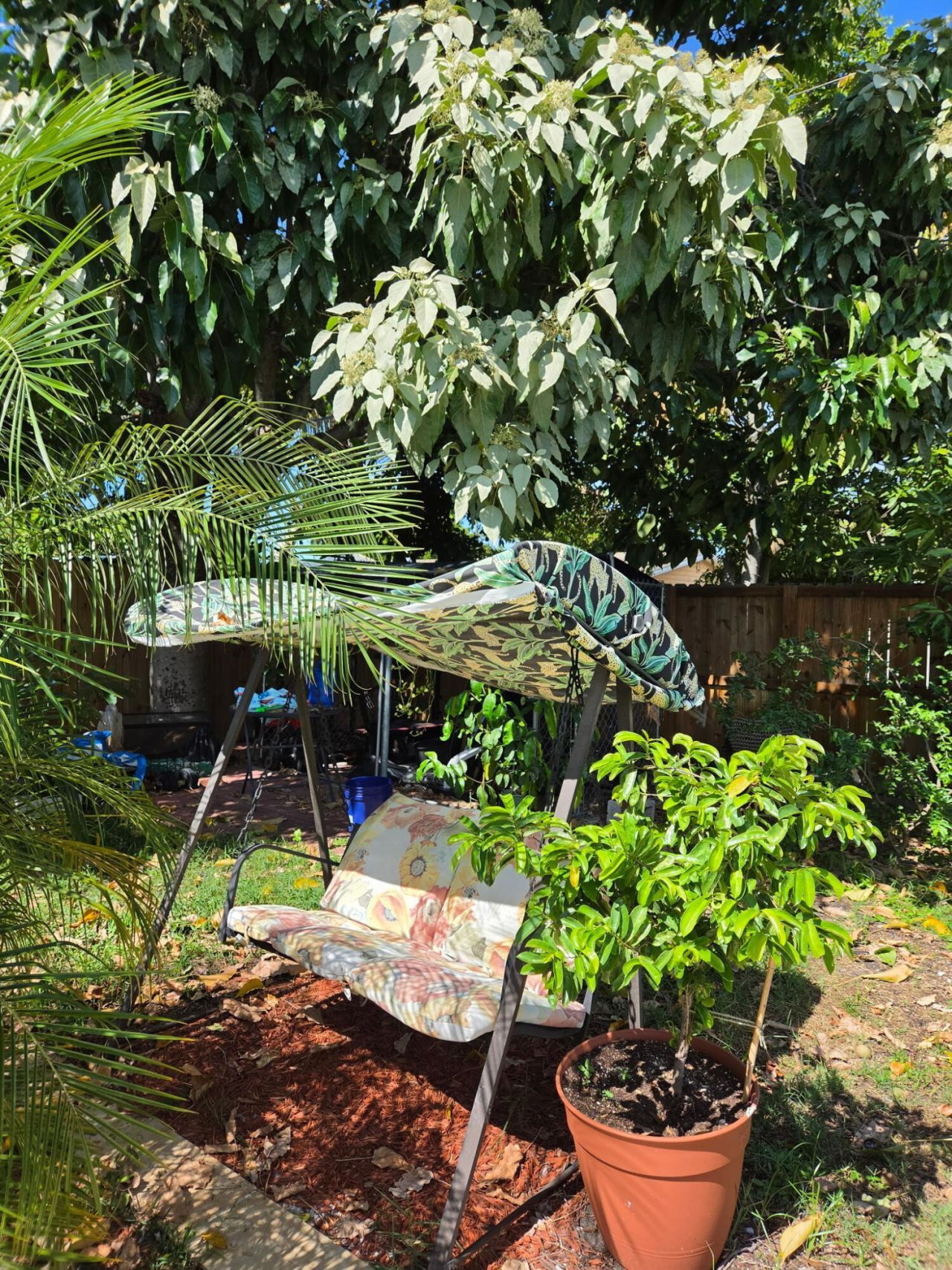 1650 NW 1st Way, Pompano Beach, FL 33060 Photo