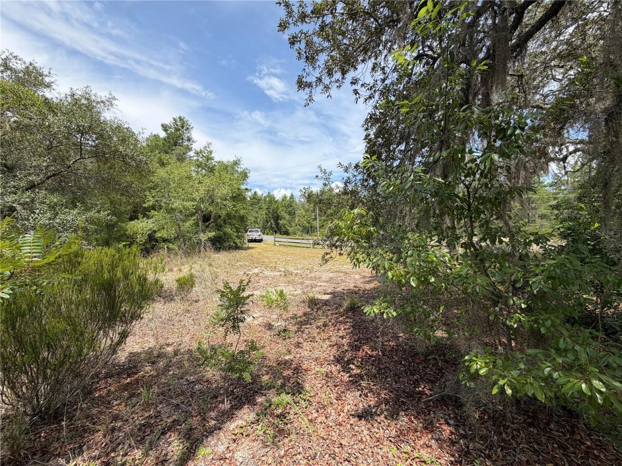 9730 NE State Road 24 , Archer, FL 32618 Photo