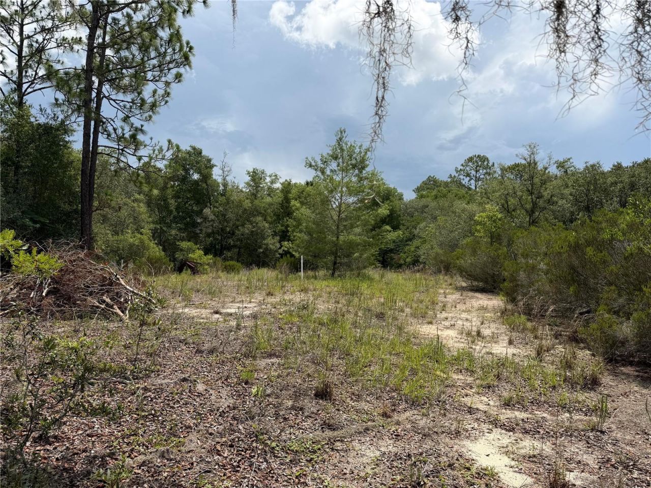 9730 NE State Road 24 , Archer, FL 32618 Photo