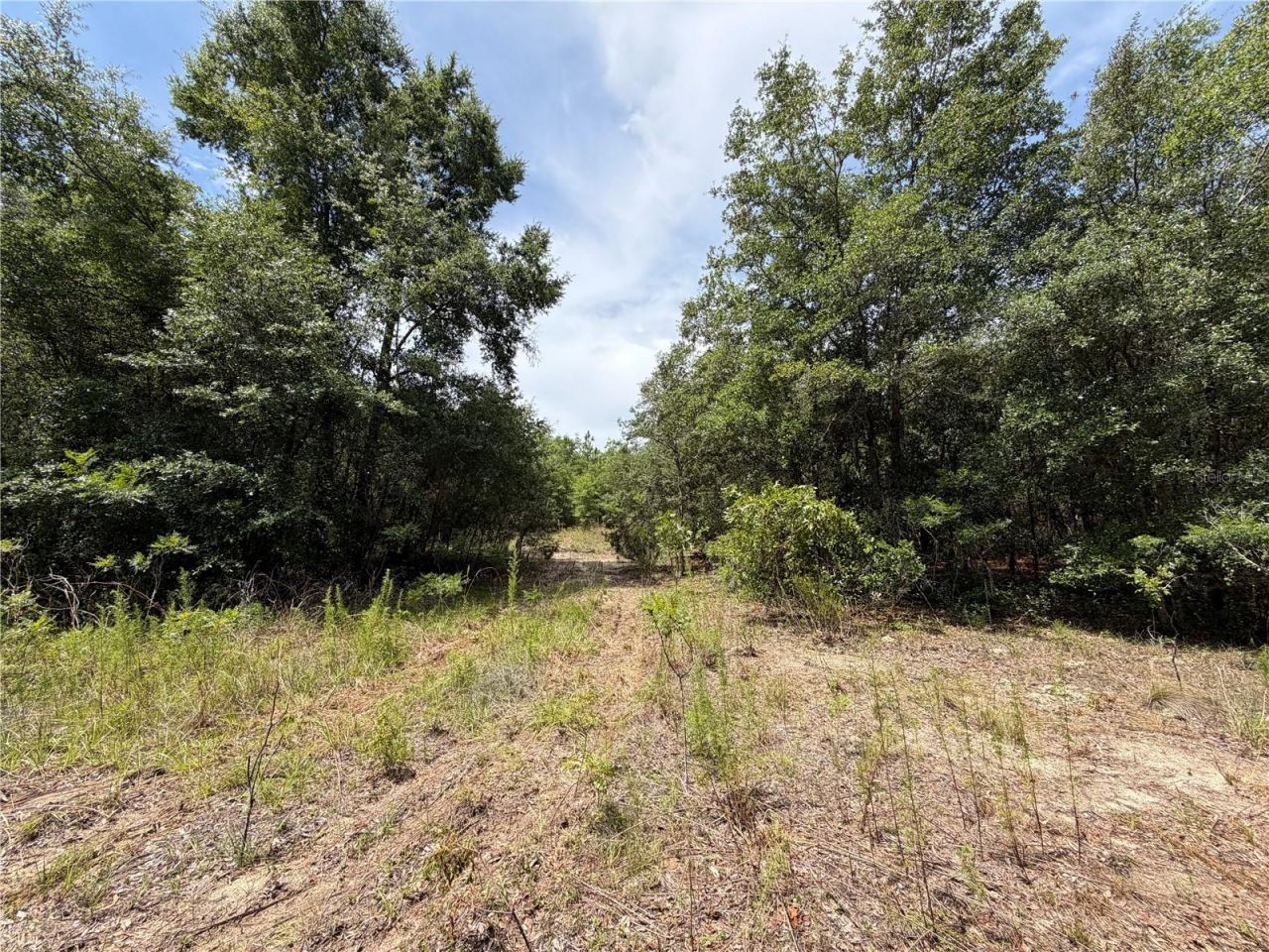 9730 NE State Road 24 , Archer, FL 32618 Photo